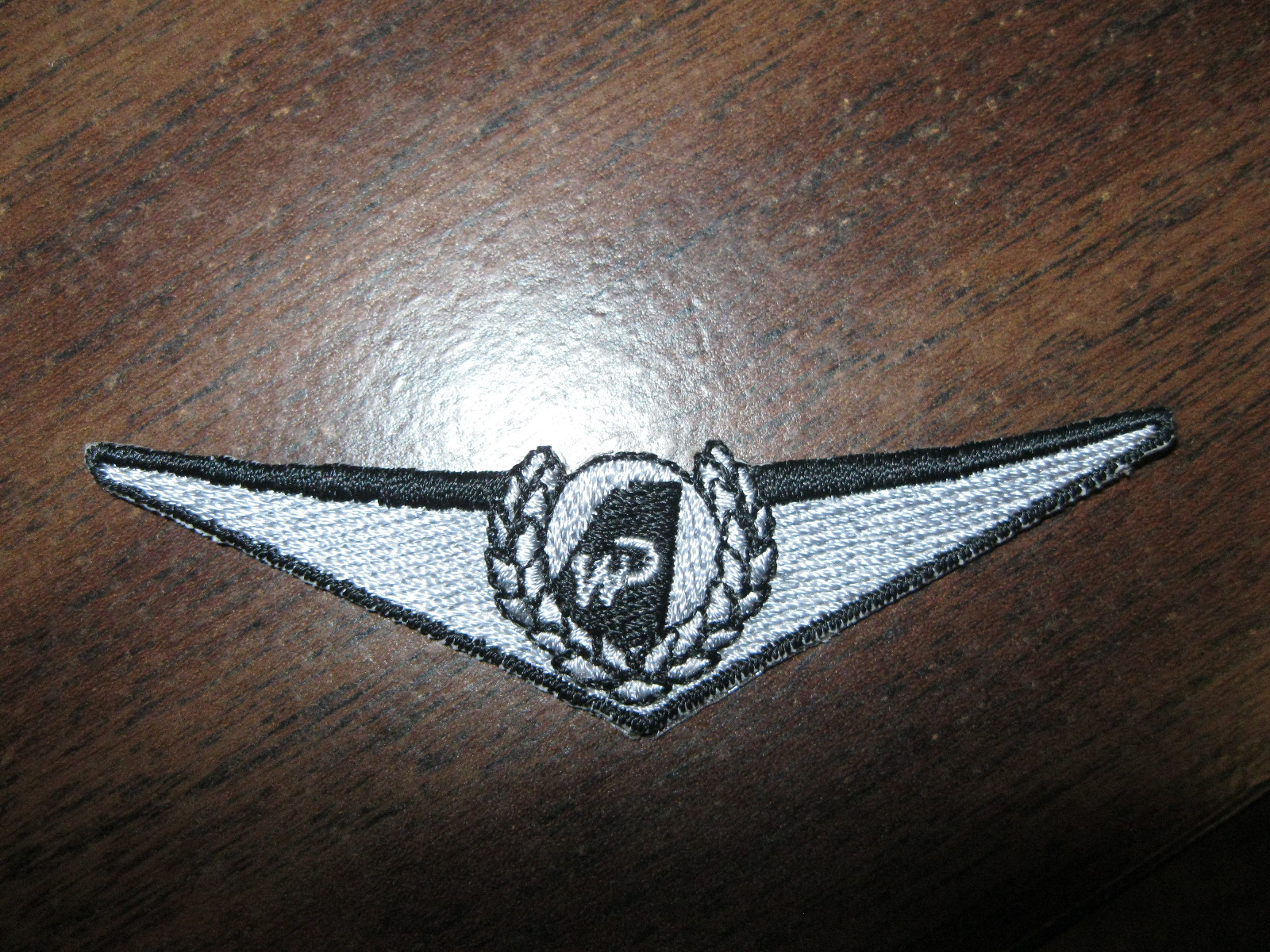 Cloth pilot wings
